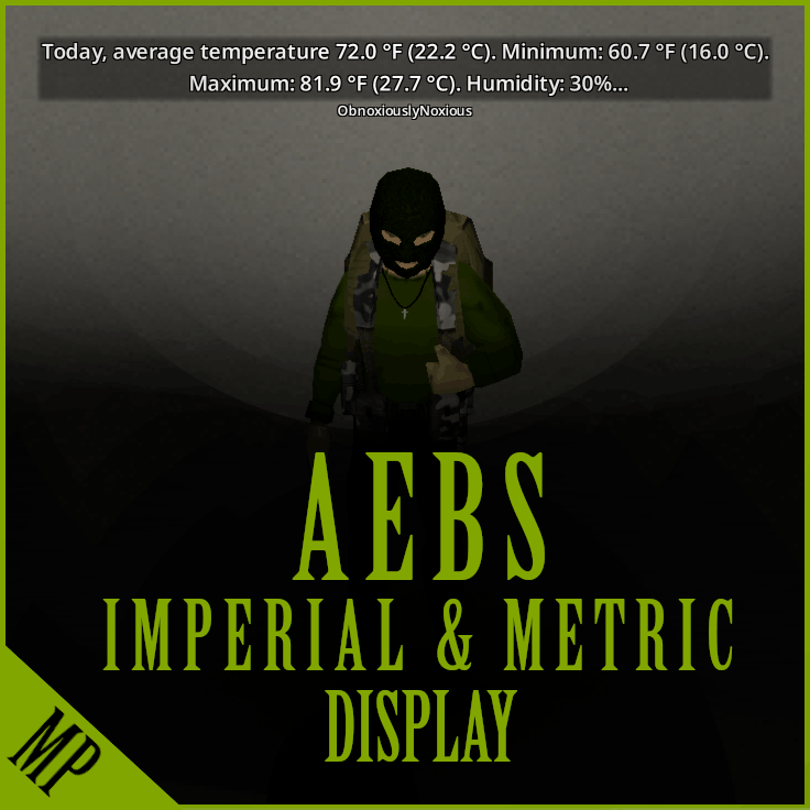 AEBS Imperial & Metric Display